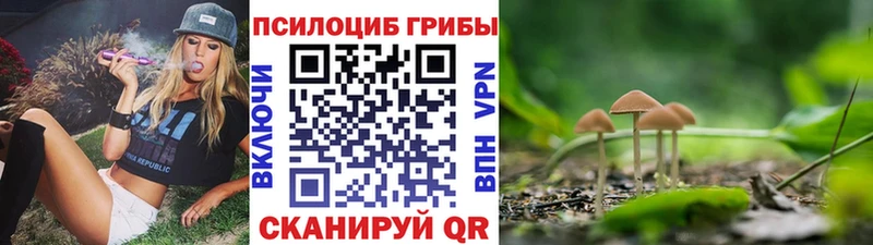 Псилоцибиновые грибы Psilocybe  наркота  Старая Русса 